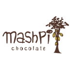 mashPi logo