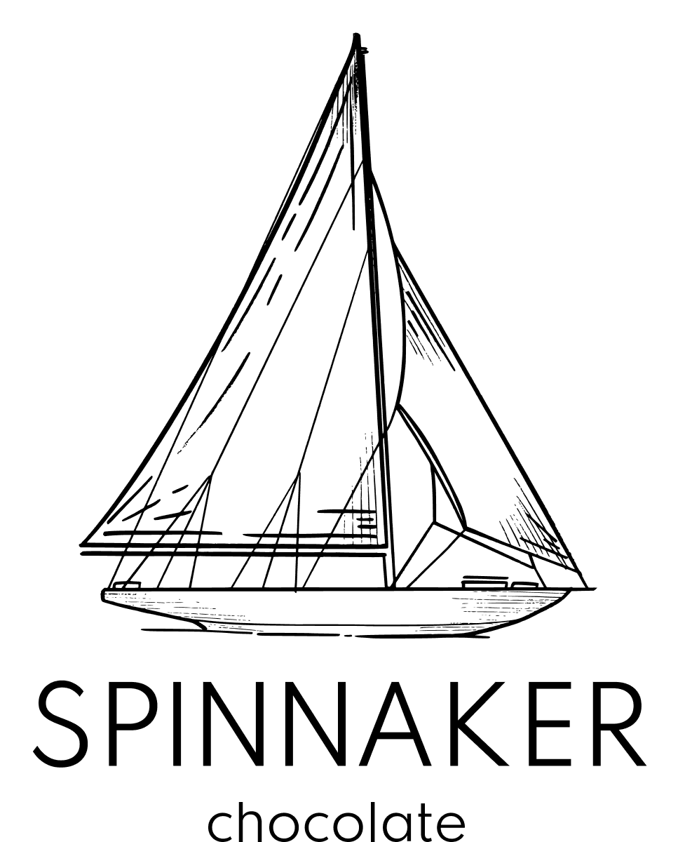 Spinnaker logo