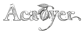 Acaoyer logo