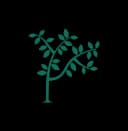 ELSA logo