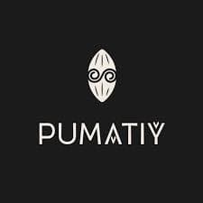 Pumatiy logo