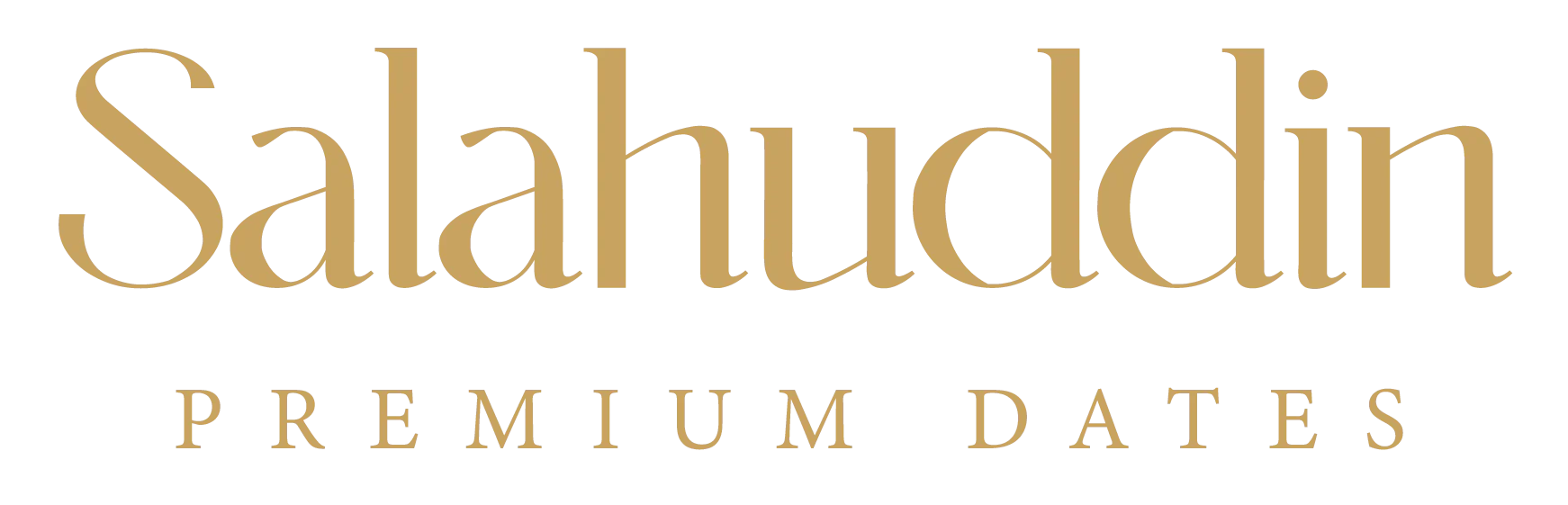Salahuddin logo