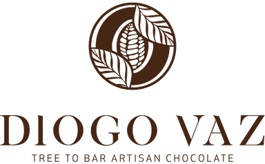 Diogo Vaz logo