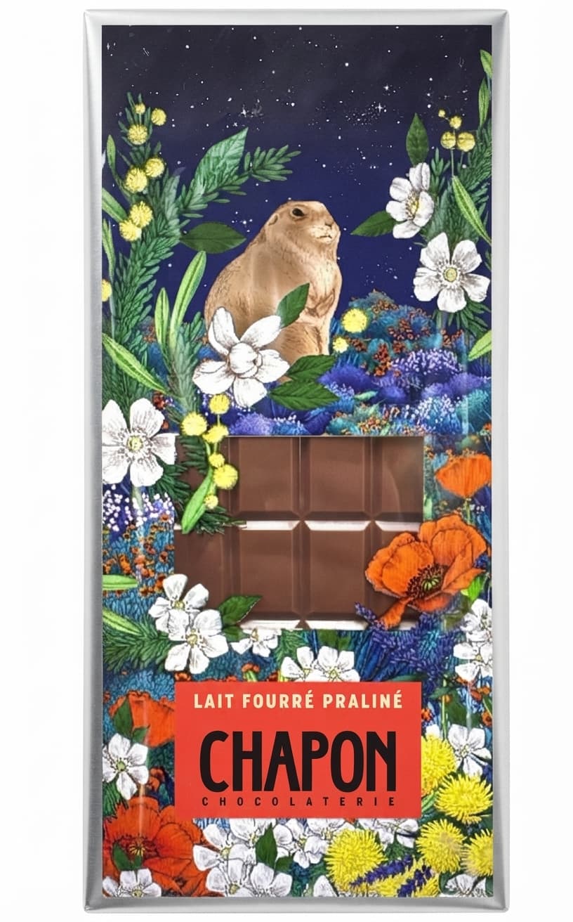 Lait Fourré Praliné 40% milk bar packaging by Chapon
