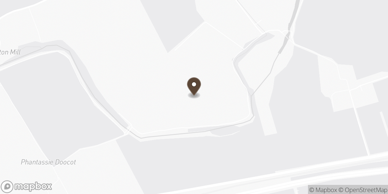 Map of CHOCOLATE TREE location